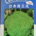 西兰兰种子,90天,耐寒,花雷半球型,紧实整齐,花籽中细