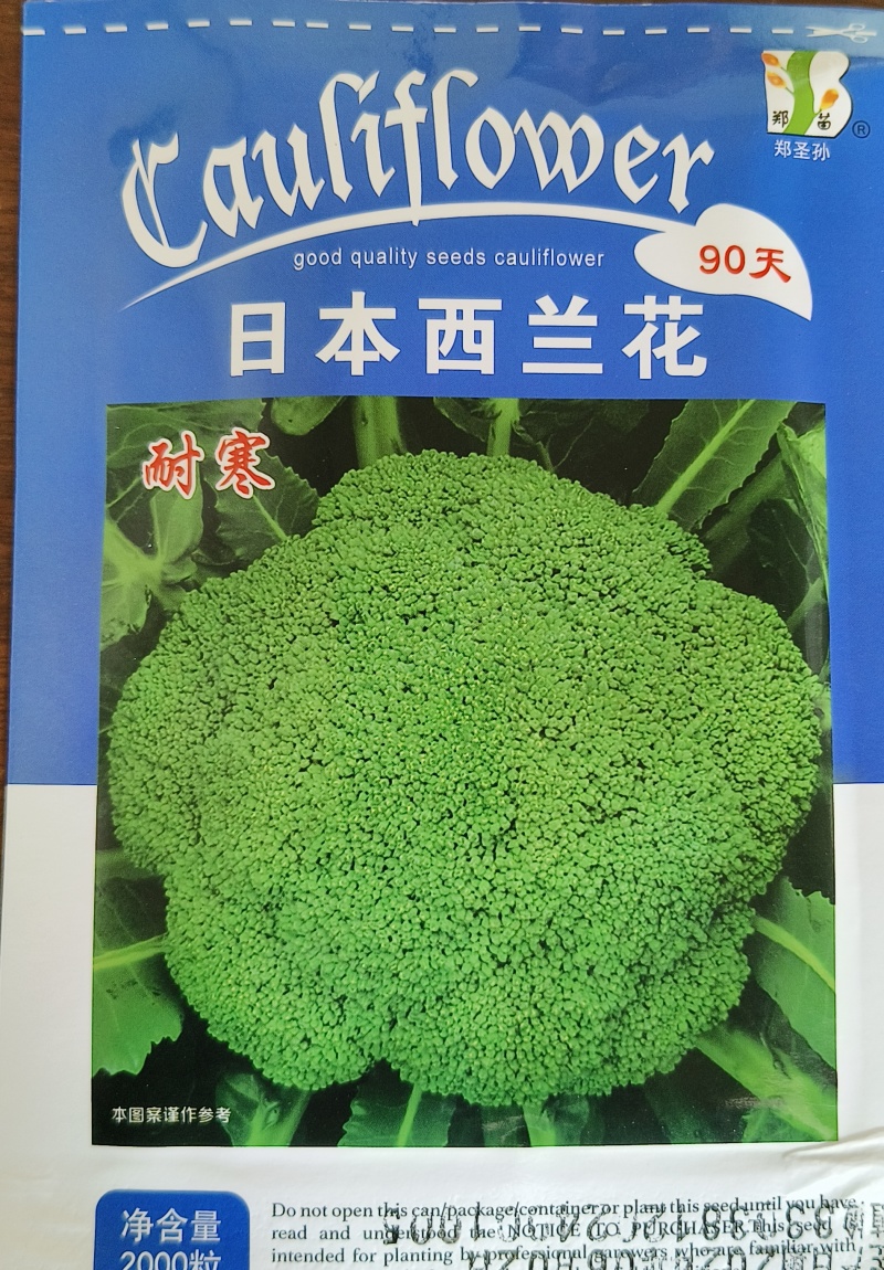 西兰兰种子，90天，耐寒，花雷半球型，紧实整齐，花籽中细