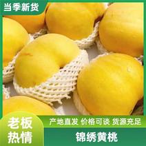 苏州锦绣黄桃精品礼盒装含糖量14-16欢迎订购