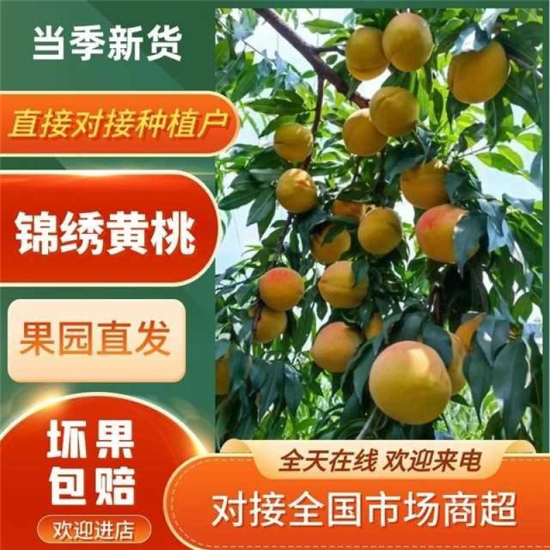 苏州锦绣精品黄桃