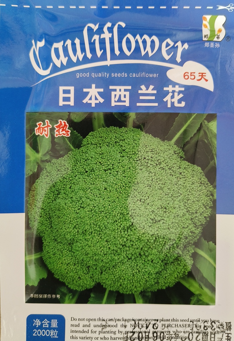 西兰兰种子，90天，耐寒，花雷半球型，紧实整齐，花籽中细