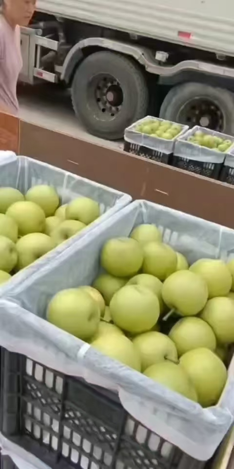 皇冠梨，翠玉梨大量上市口感脆甜产地直发全国欢迎大家联系