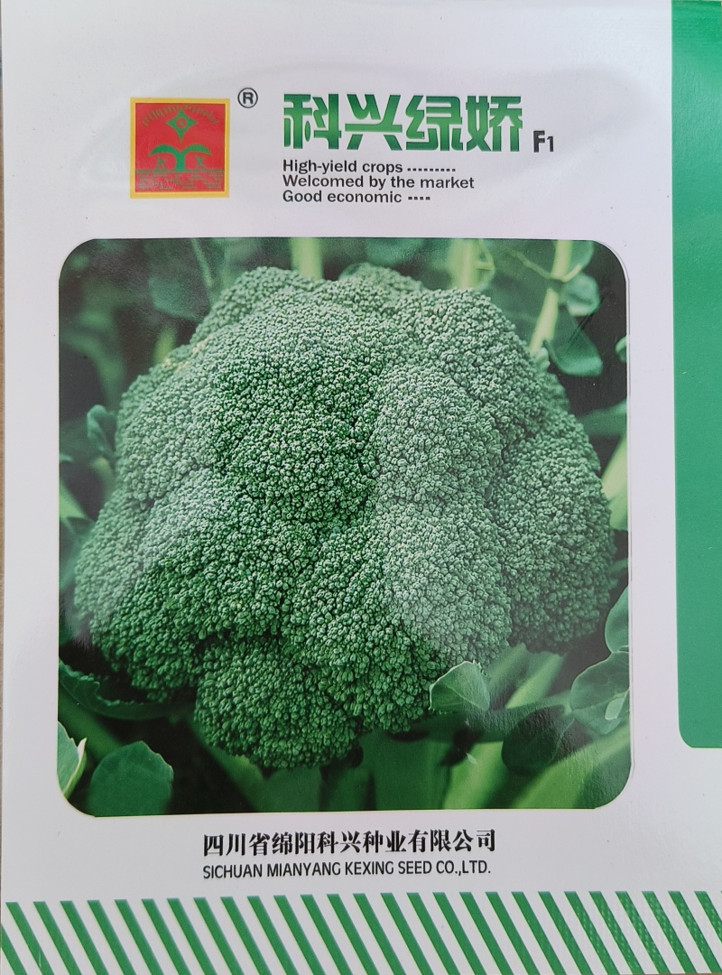 绿娇，定植后80天采收，花型较好，抗性强。
