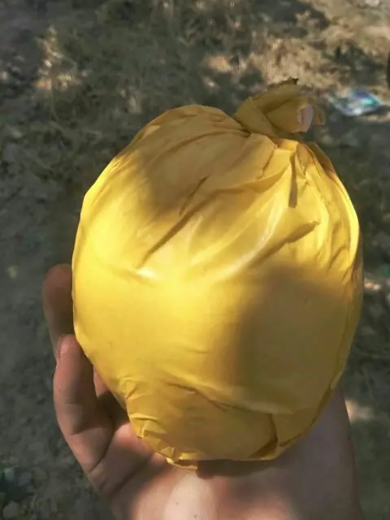 翠玉梨大量供应中产地直发口感脆甜对接商超市场社区团购
