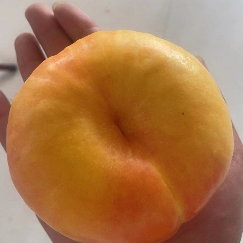 潘九，大量下树，有需要货的老板联系我