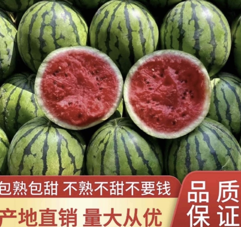 内蒙古通辽西瓜圆瓜火爆上市品质保证产地直发