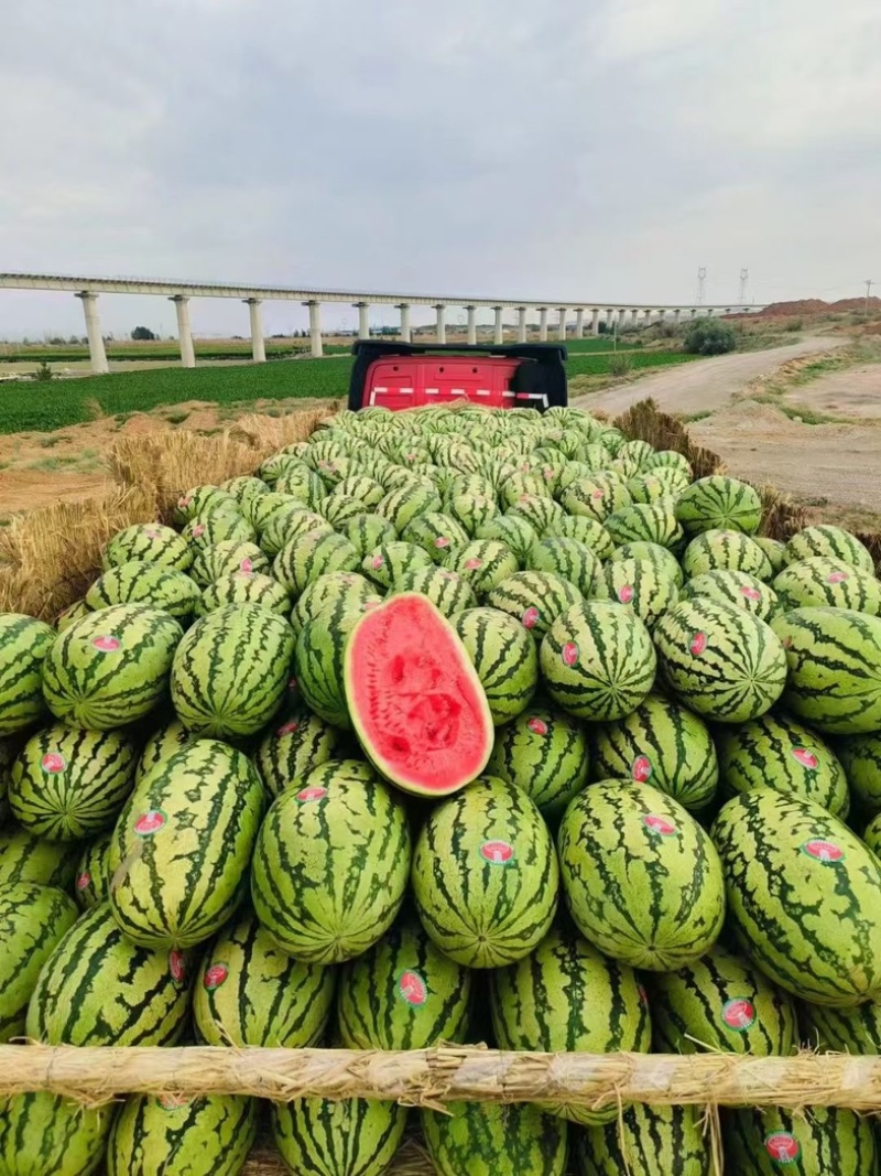 宁夏石头瓜香山硒砂瓜产地直发质量三包