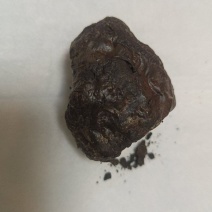 鹅宝