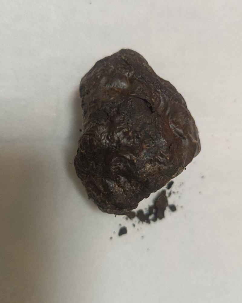 鹅宝