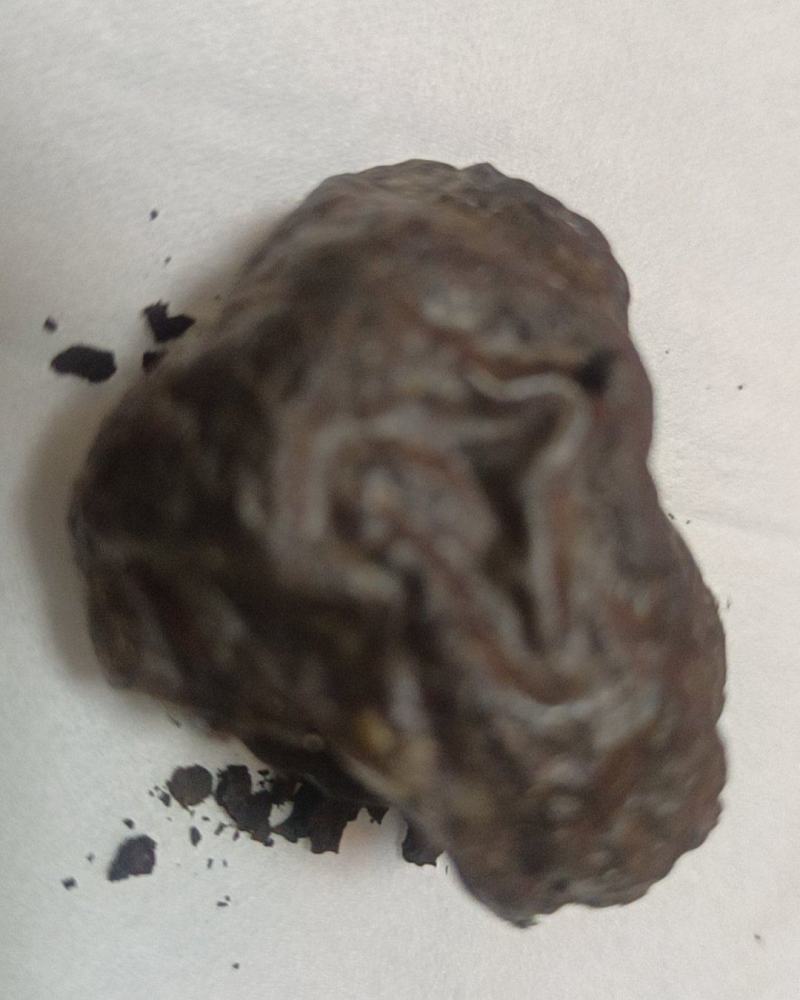鹅宝