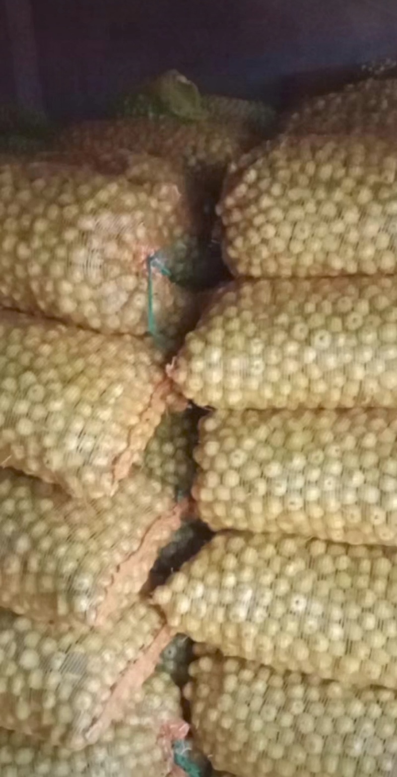 出售赤峰青沙果