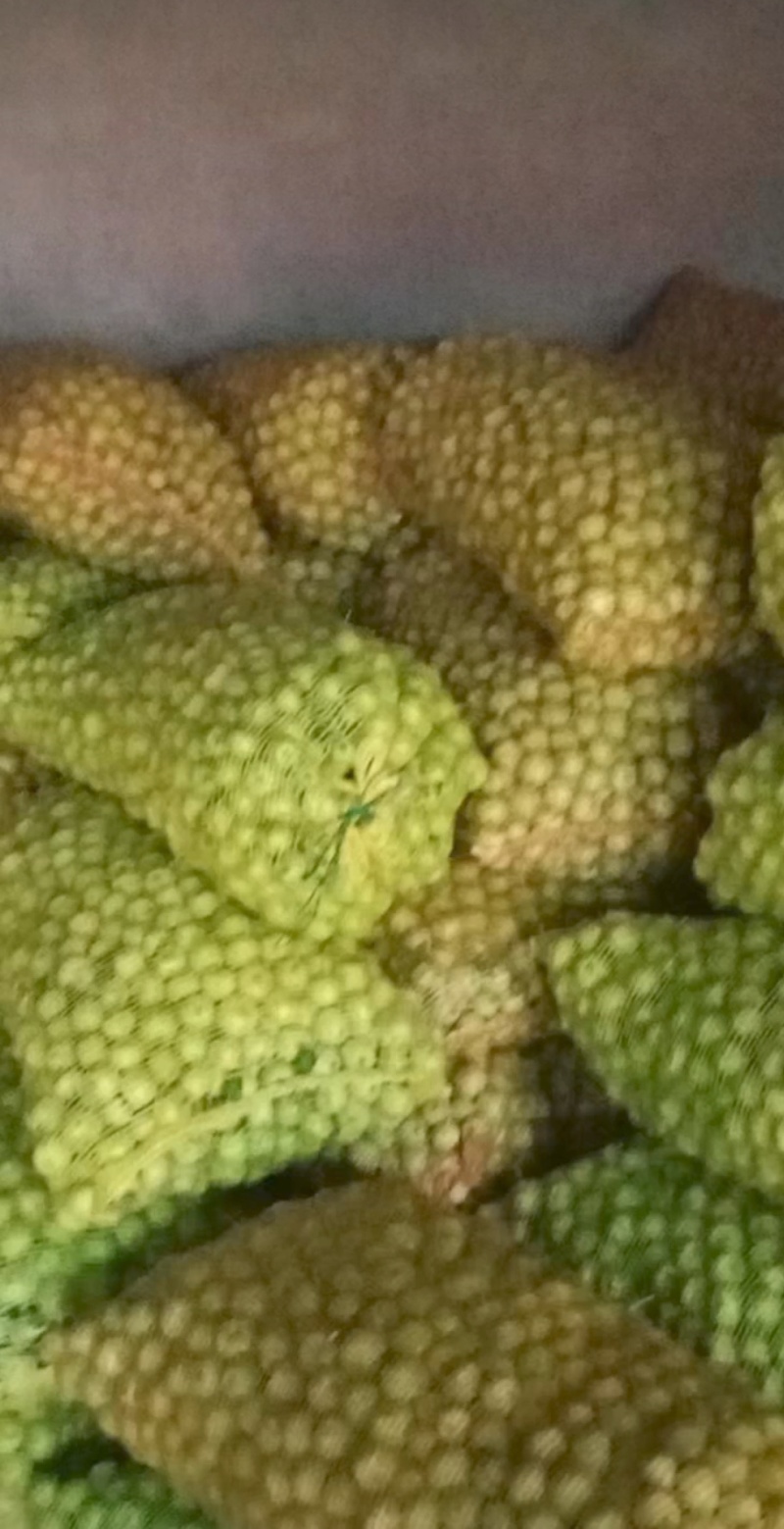 出售赤峰青沙果