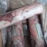 【沙葱羔羊肉卷】当地草地羊纯干货！新鲜涮锅必备支持发样！