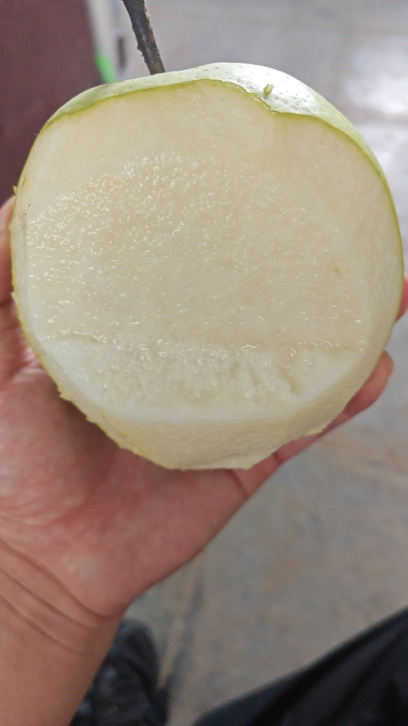 雪青青果，有需要的联系