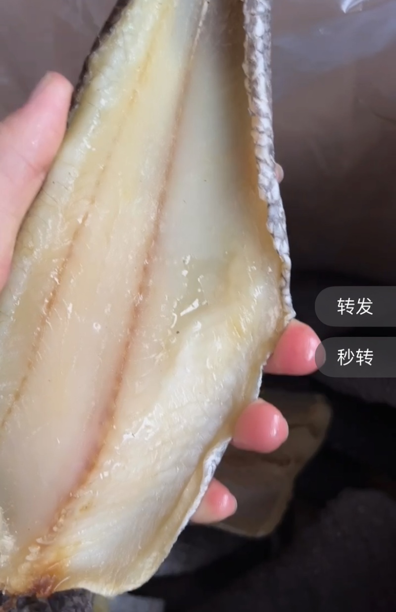 生鱼片干地摊电商批发生鱼肉片干黑鱼鱼干干鱼