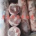 【苏尼特羔羊肉卷】干货不调理，无任何添加！货源稳定手续全