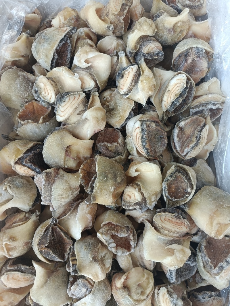 海螺肉，单冻螺肉，海螺，螺头，常年供应，现货