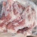 肥猪多肉前腿骨