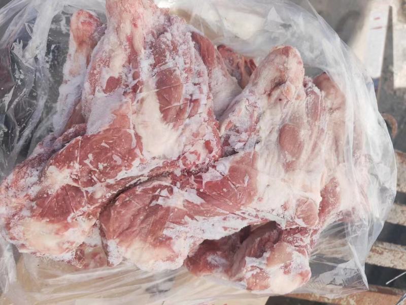 肥猪多肉前腿骨