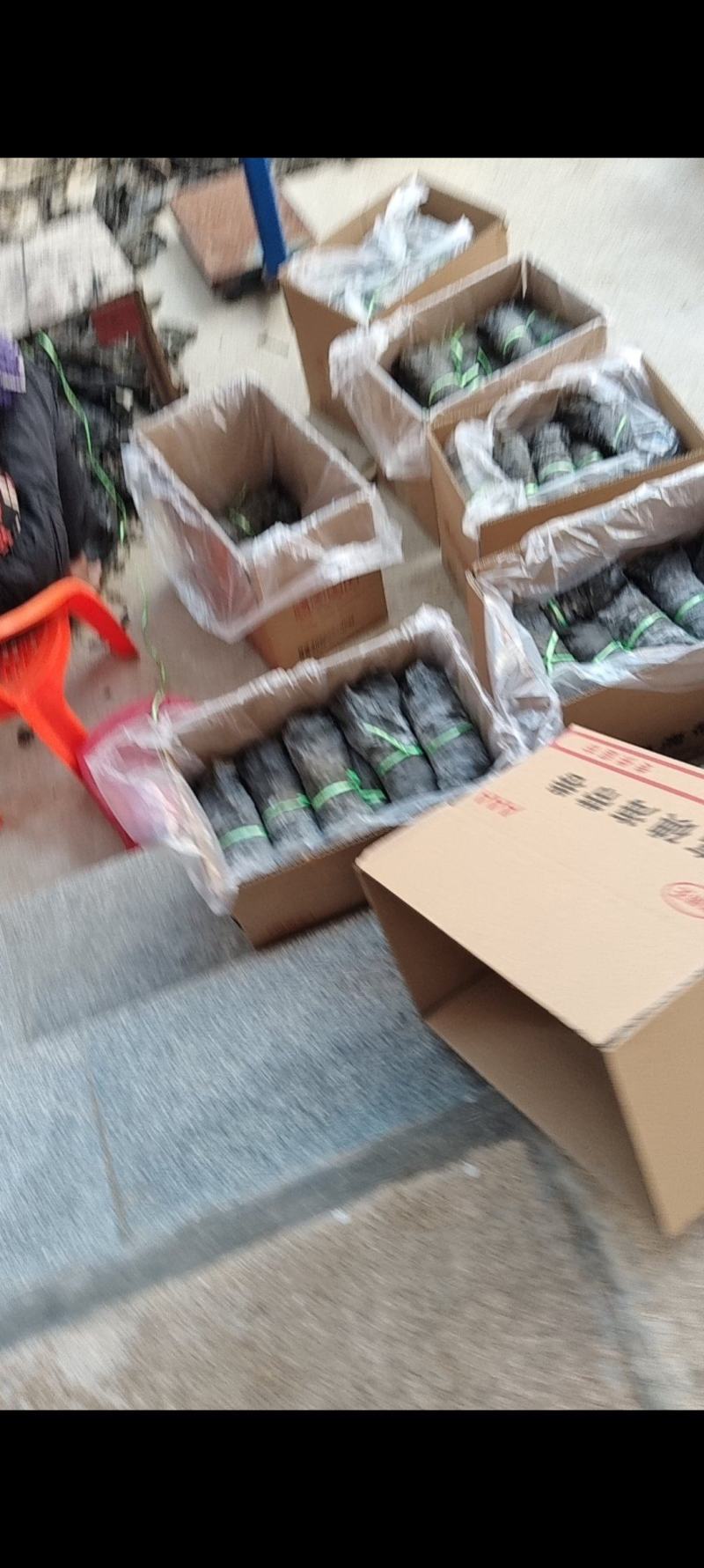 福建莆田湄洲岛日晒海带干海带卷海带片厚实无沙箱装标准件商