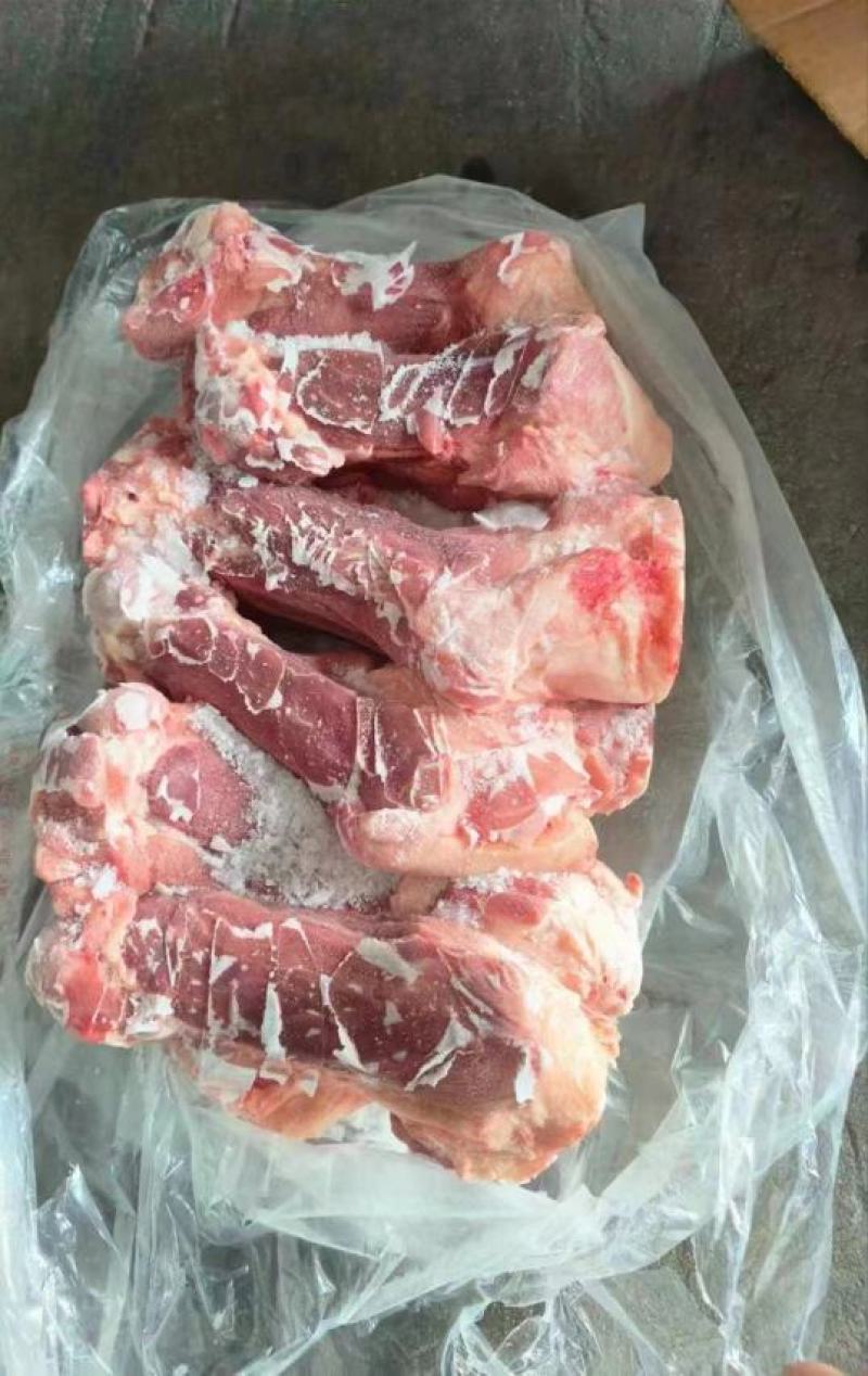 后棒骨
