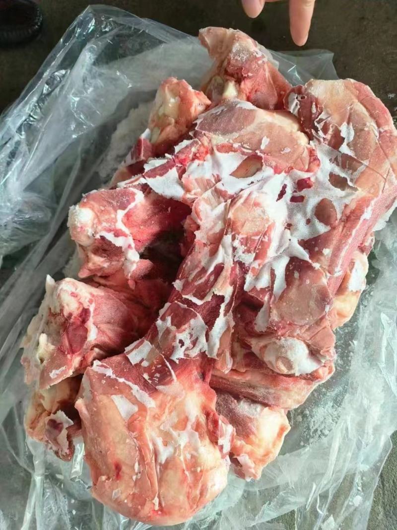 后棒骨