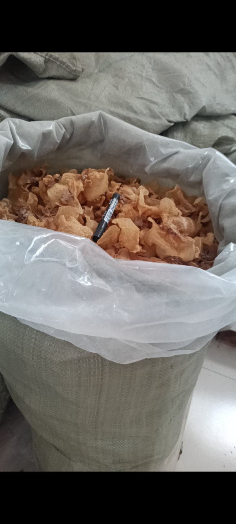羊肚耳优质，沙耳羊肚耳大羊肚耳批发零售好羊肚耳产地羊肚耳
