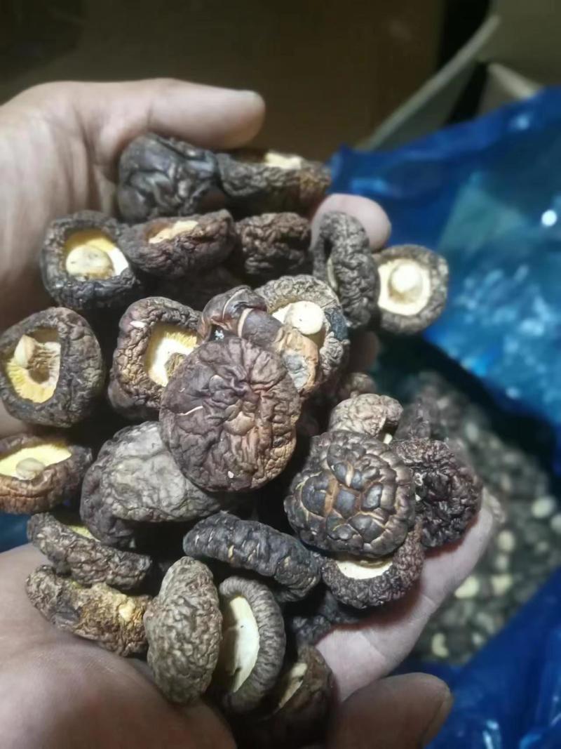 【优选】农产品香菇精品干香菇品质保证货源充足