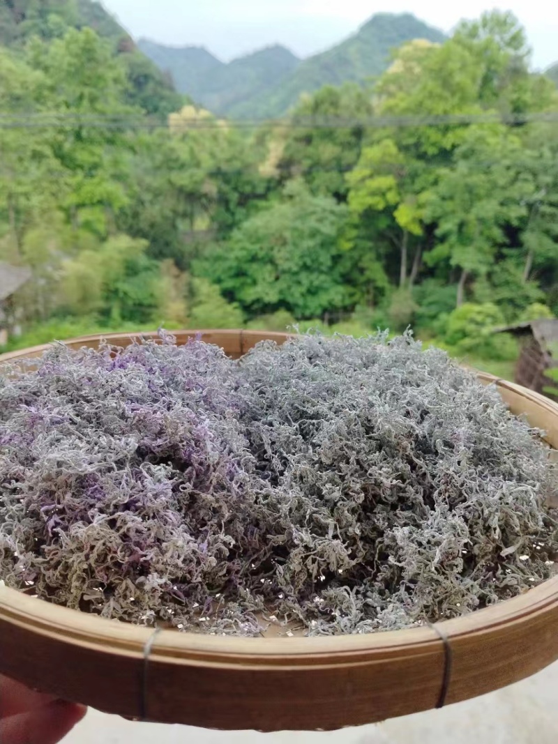 湖南莓茶精品藤茶龙须茶芽头茶质量保证欢迎联系咨