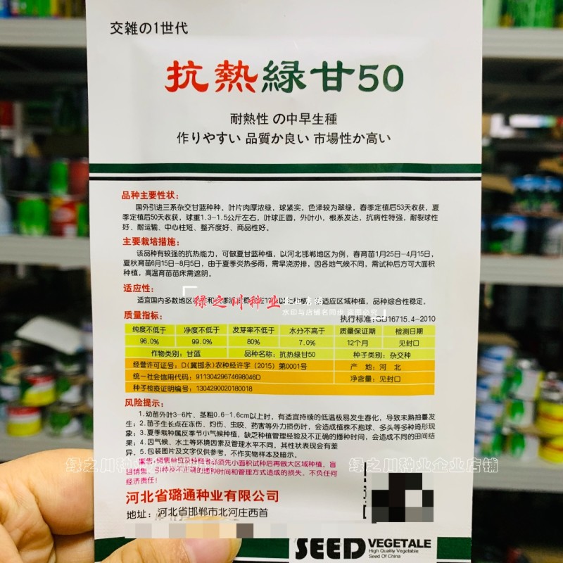 春夏秋结球甘蓝种籽抗热绿甘50/60甘蓝种子耐热圆包菜种