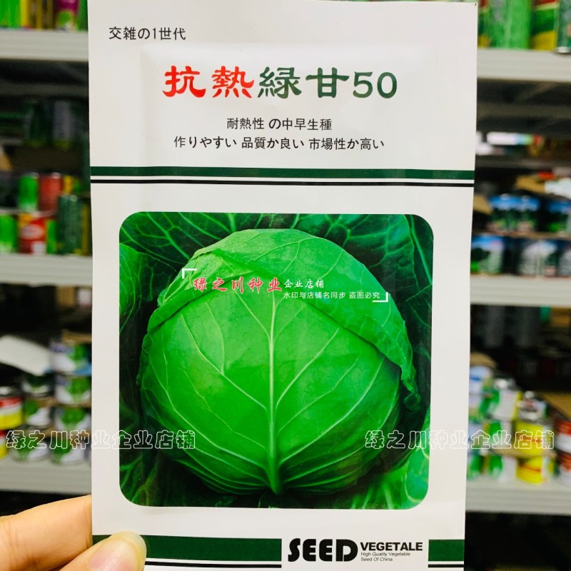 春夏秋结球甘蓝种籽抗热绿甘50/60甘蓝种子耐热圆包菜种