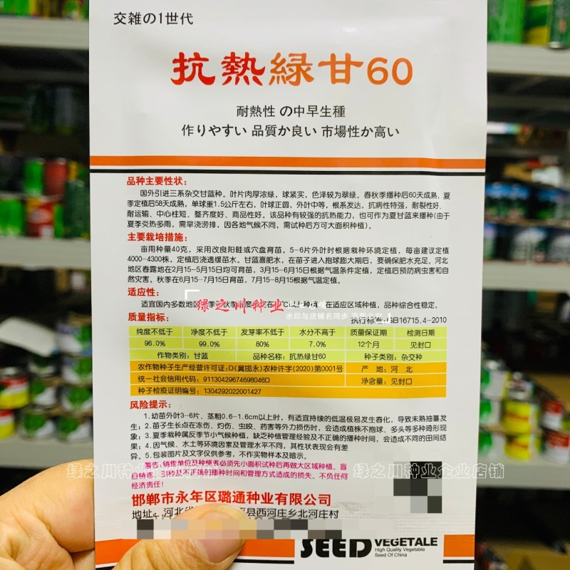 春夏秋结球甘蓝种籽抗热绿甘50/60甘蓝种子耐热圆包菜种