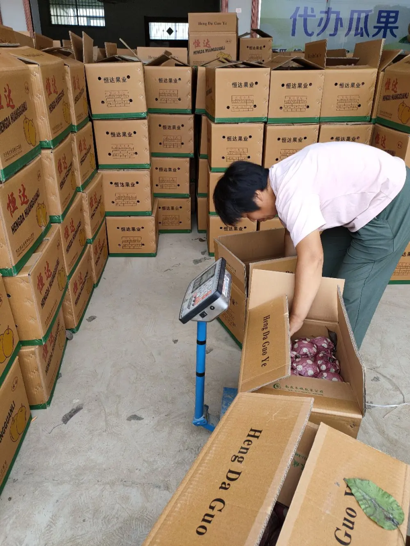 圆黄梨安徽梨产地直发口感脆甜对接电商市场社区团购