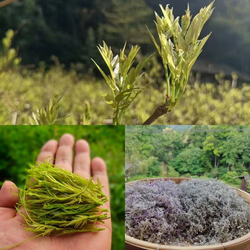 湖南莓茶精品藤茶龙须茶芽头茶质量保证欢迎联系咨