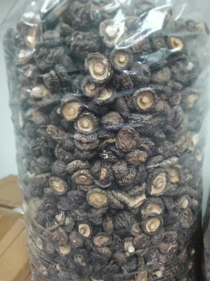【优选】农产品香菇精品干香菇品质保证货源充足