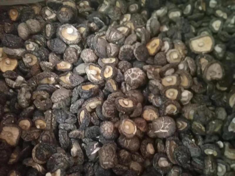【优选】农产品香菇精品干香菇品质保证货源充足
