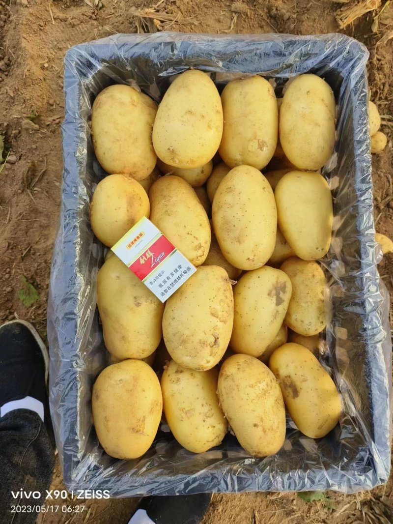 土豆产区一手货源，大量供应