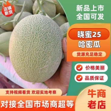 海南晓蜜25哈密瓜产地直发甜的哈密瓜量大从优