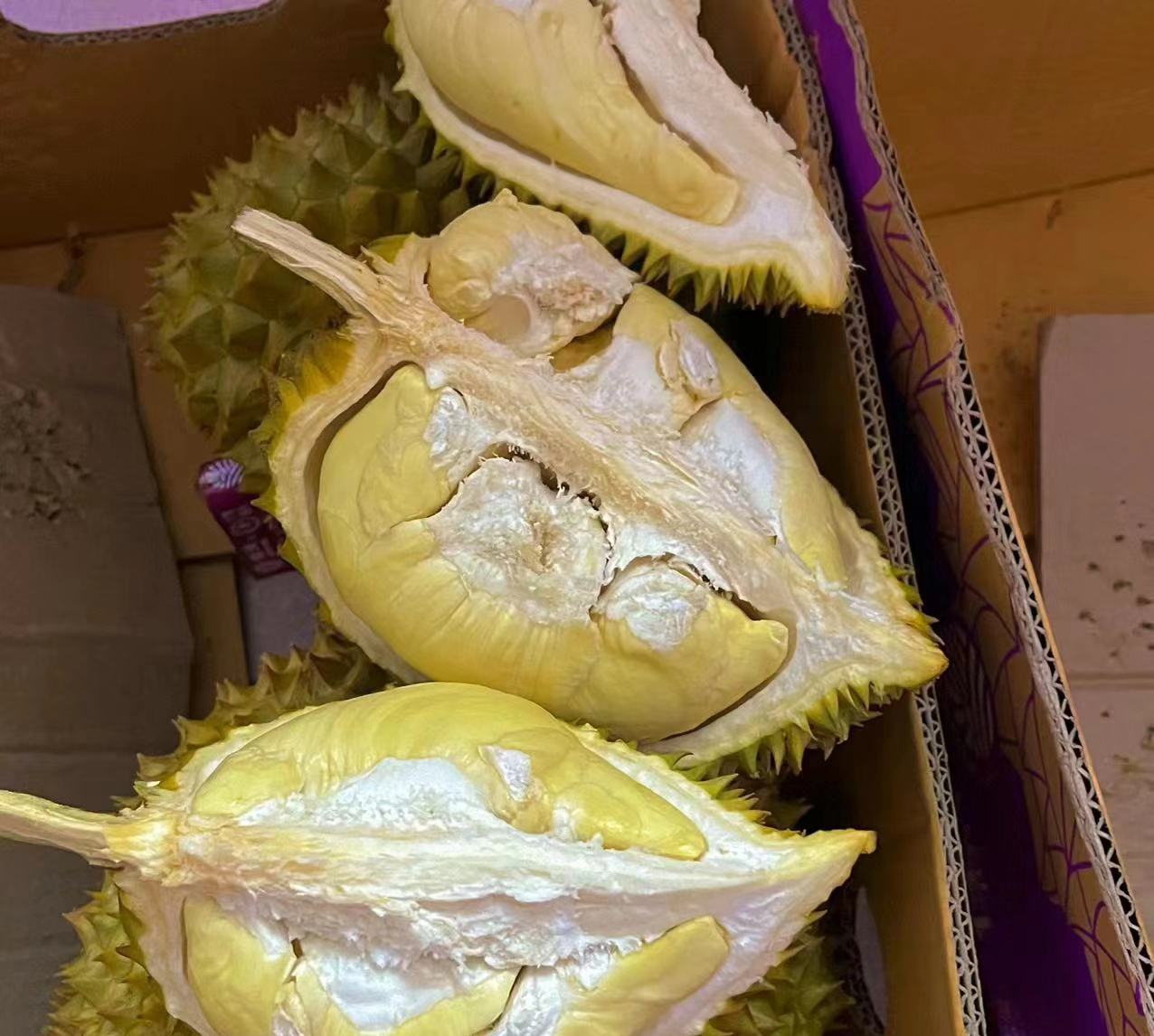 左侧为新鲜金枕榴莲果肉特写,呈乳黄色块状,表面光滑有光泽;右侧为柱状图表,标注金枕榴莲主要营养成分:热量147kcal、碳水32g、蛋白质3g、脂肪5.3g、膳食纤维2.8g、钾436mg、维生素B1 0.32mg,背景为浅蓝色科技风格 金枕榴莲果肉特写与营养成分柱状图对比