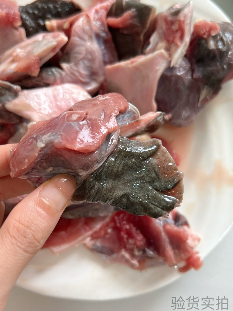 一件代发品牌鲜切甲鱼肉，可入驻商超