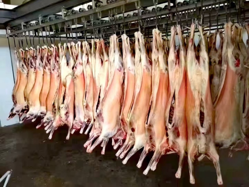 【山羊肉】陕北横山羊肉每天现宰，可以常年供货