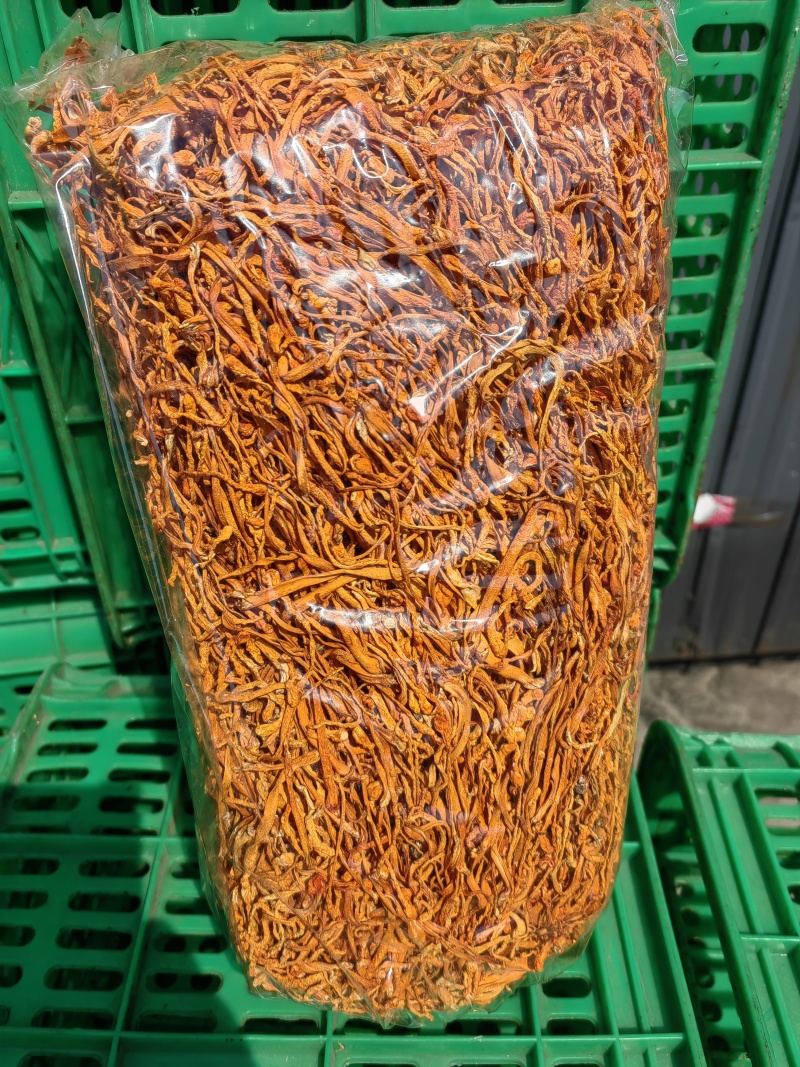 虫草花