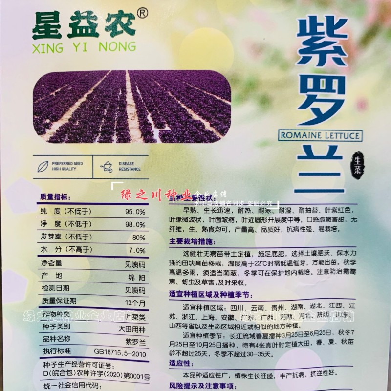 天禧紫罗兰保健菜种子营养蔬菜种子紫红色菜籽种四季生菜种子