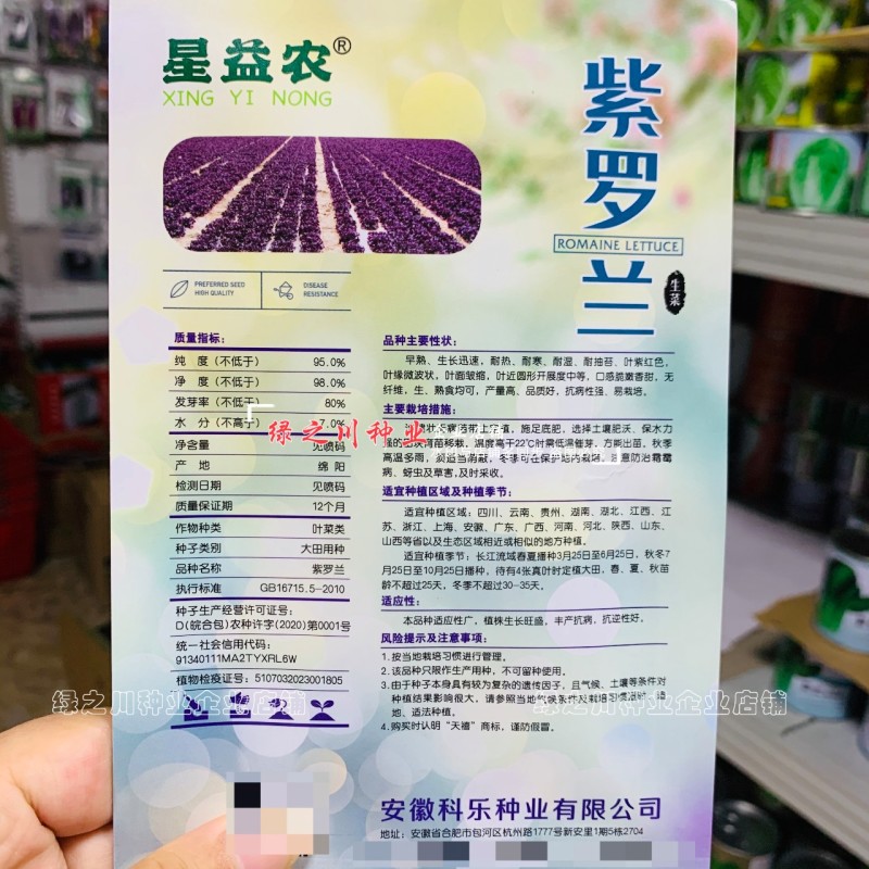 天禧紫罗兰保健菜种子营养蔬菜种子紫红色菜籽种四季生菜种子