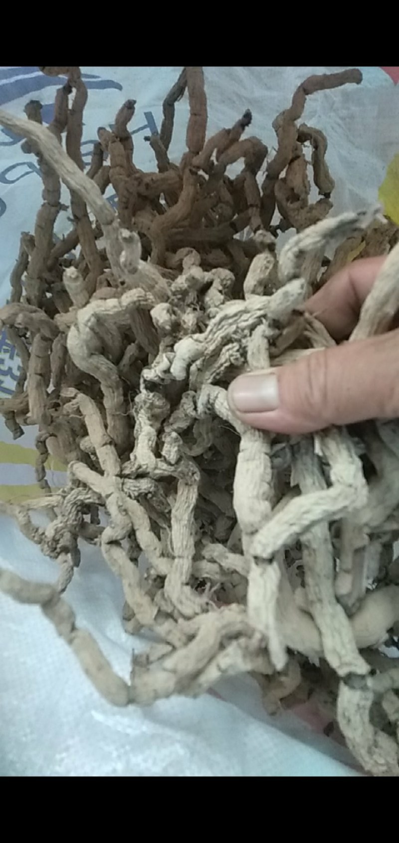特级巴戟天圆条干货
