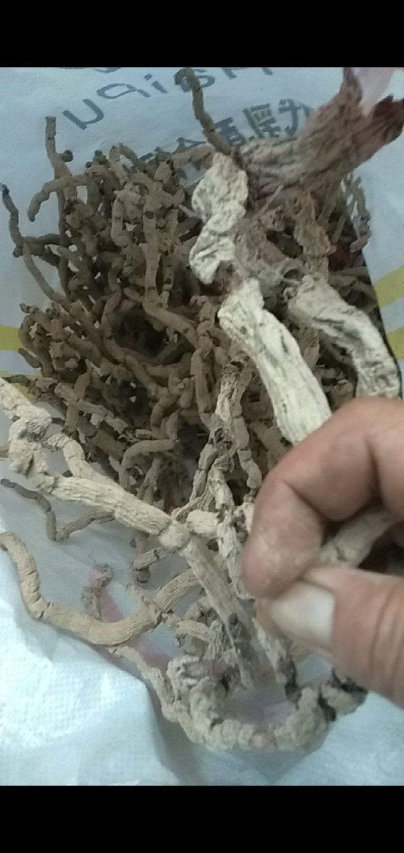 特级巴戟天圆条干货