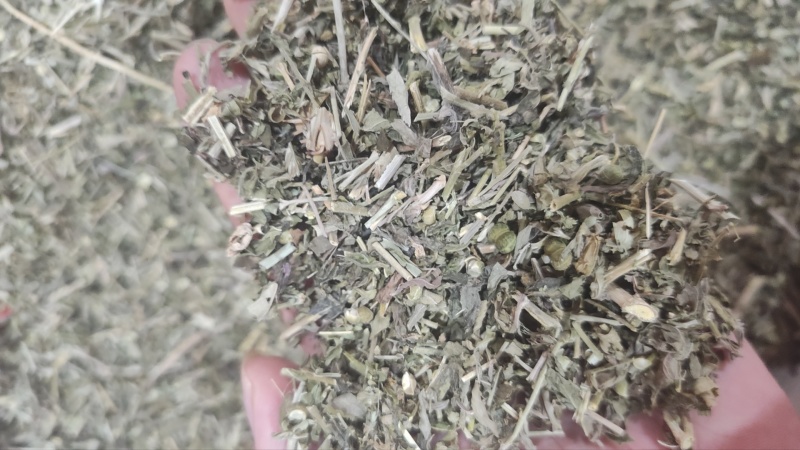 透骨草珍珠透骨草各种规格