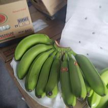 海南香蕉基地供应量大质优价优一手货源支持视频