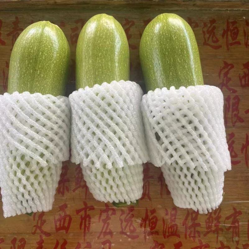 甘肃西葫芦-绿皮的-瓜型好-基地直发-精品西葫芦