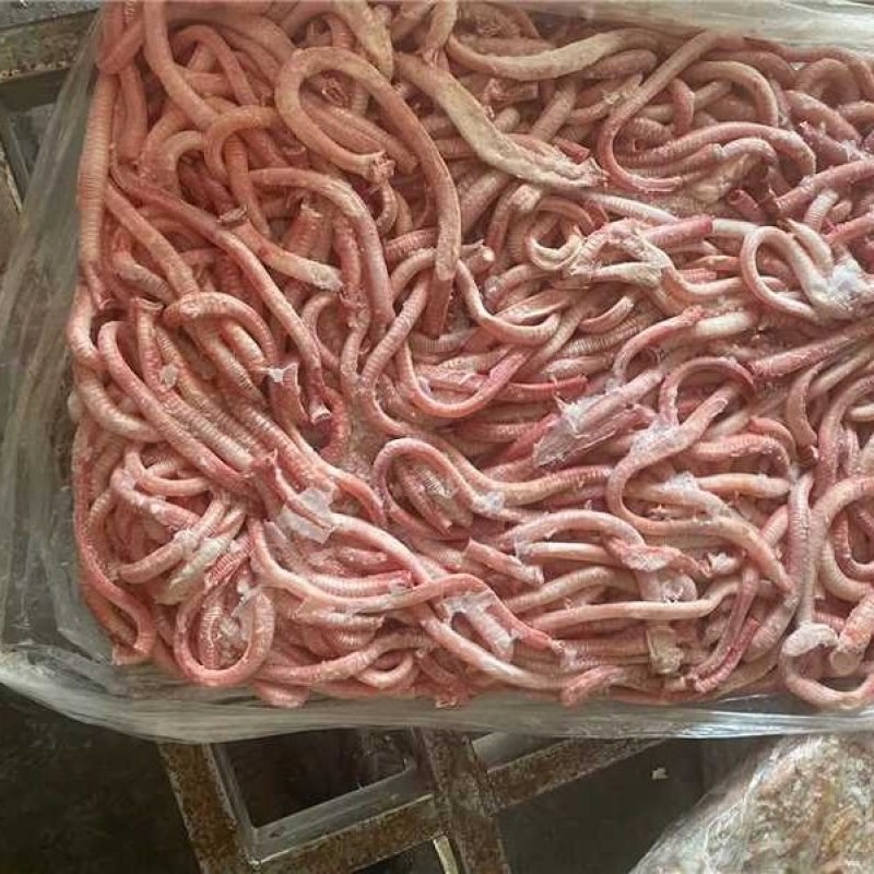 精品鸭气管品质好量大从优货源充足欢迎来电咨询